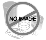 Fiat Engine Rebuild Kit