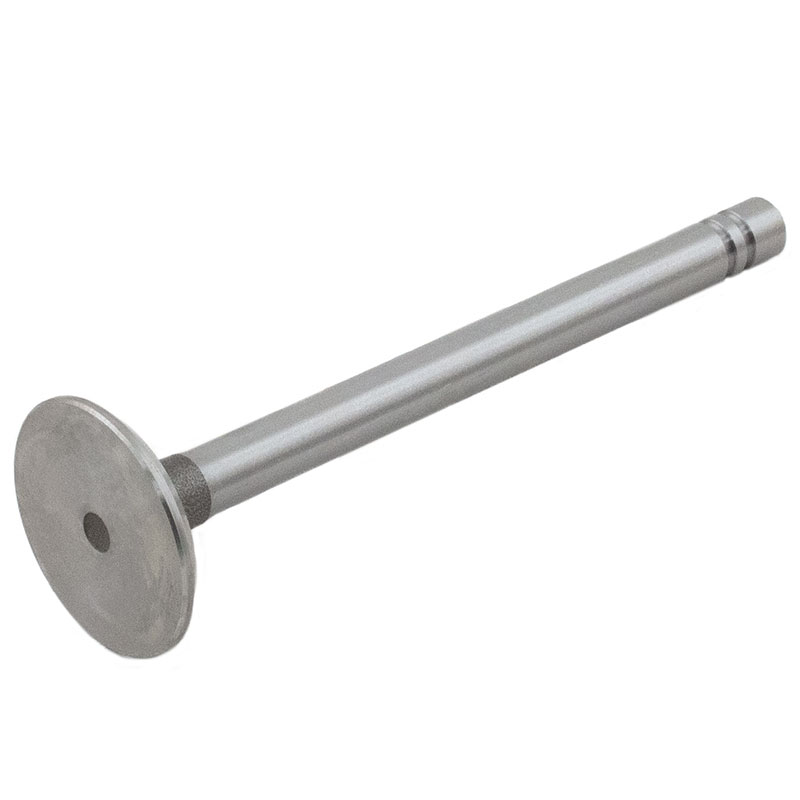 Waukesha 155 Intake Valve