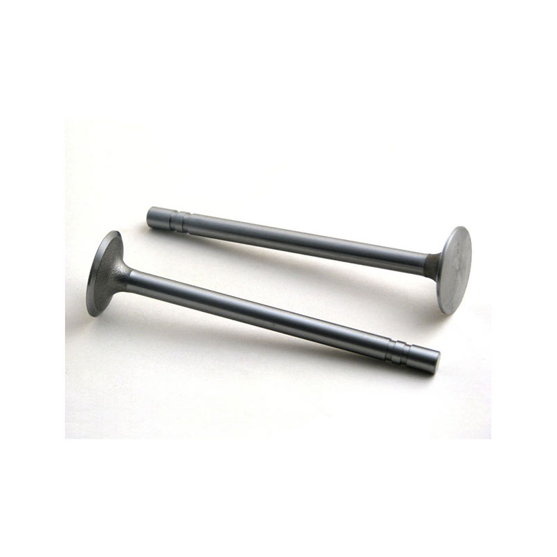 Case 148B gas Intake Valve