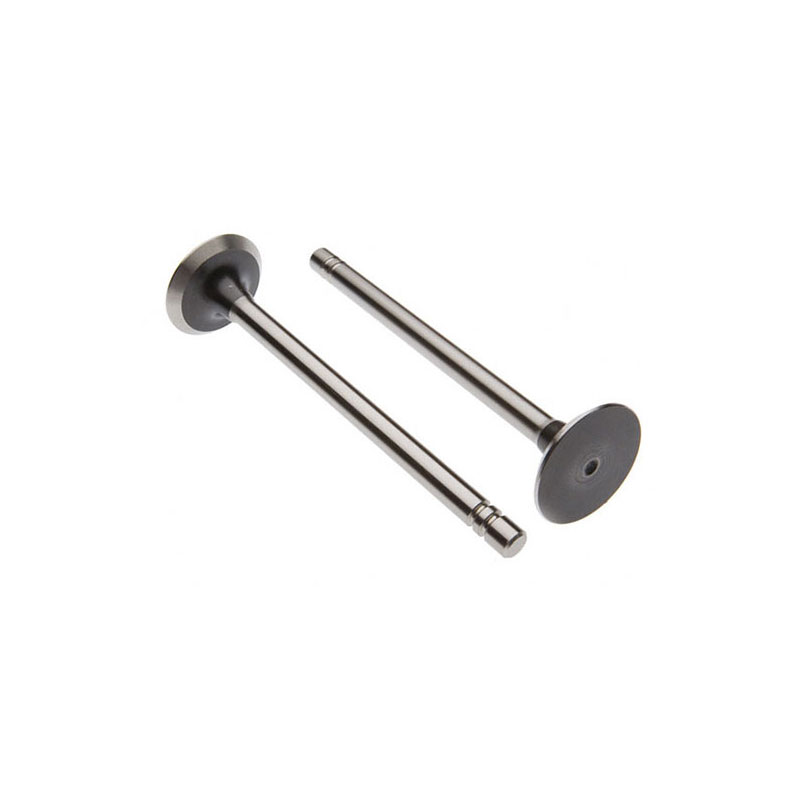 Waukesha 155 gas Intake Valve
