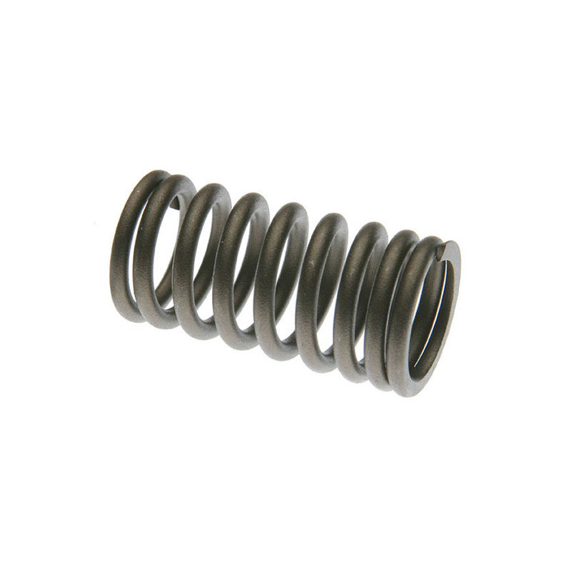 International 361, 407 Intake Valve Spring