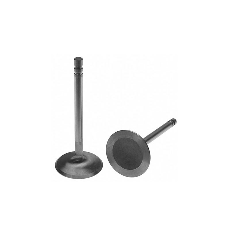 Continental E242 gas Intake Valve