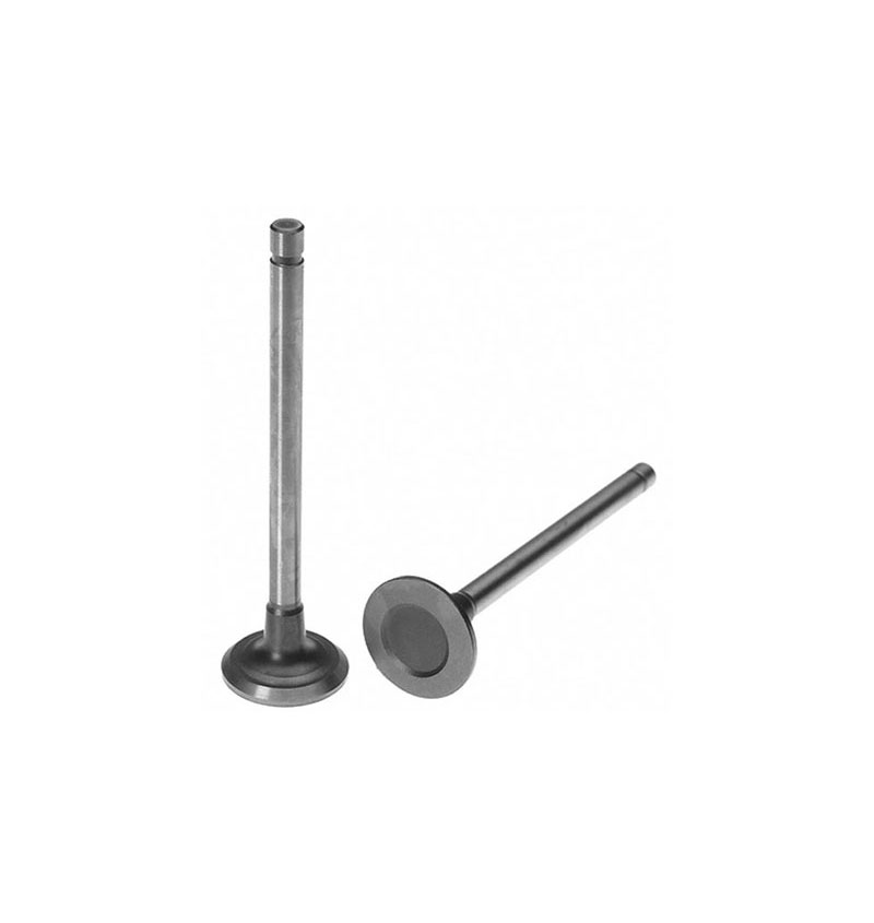 Wisconsin VE4, VE4D, VH4D Gas Exhaust Valve, AE75D