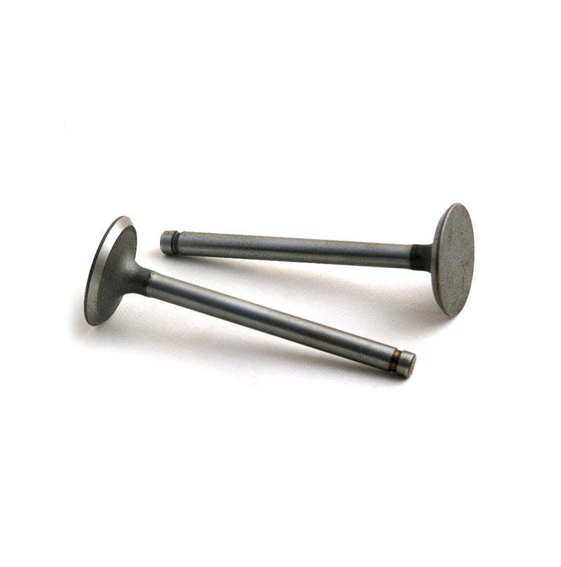 Wisconsin V465D Gas Intake Valve, AE89