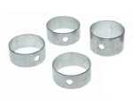 Camshaft Bearings