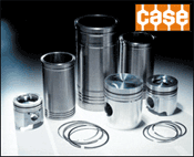 Case Engine Rebuild Kit