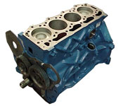 Ford 256 (BSD442) Diesel Short Block Assembly